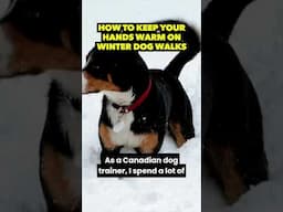 Keep Your Hands Warm On Winter Dog Walks