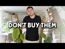 Houseplants I regret buying & why