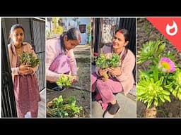 घर के काम छोड़कर सबसे पहले लगाया 🪴 Garden में सुन्दर सुन्दर Flower Plants 🌸 | Indian Vlogger #vlogs