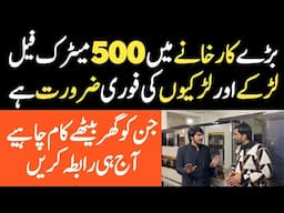 Best Business In Pakistan || New Business 2025 || Business Ideas