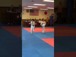 Taekwondo