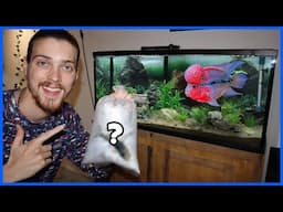 Setting Up My 55 Gallon FLOWERHORN + CATFISH AQUARIUM!