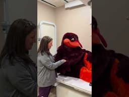 HokieBird visits our OrthoUrgent Clinic!