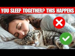 The Shocking Truth About Cats in Bed!