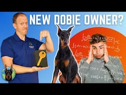 The Key to Doberman Success: 4 Critical Areas You CAN’T Ignore