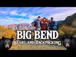 Bear on Trail | Big Bend