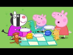 Heo Peppa | gấu bông dã ngoại | Phim Hoạt Hình Cho Trẻ Em