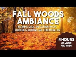 Fall Woods Ambiance Music for Study and Focus | Pumpkin Spice Ambiance