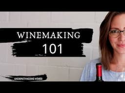 HOW WHITE WINE IS MADE: Winemaking 101 || How To Make Wine from White Grapes || Understanding Wines