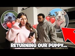 WE HAVE TO RETURN OUR NEW PUPPY… 💔