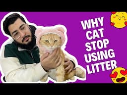 Why do cats stop using cat litter box?