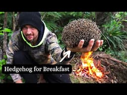 Hedgehog Harvest - Primitive methods of our Ancestors.