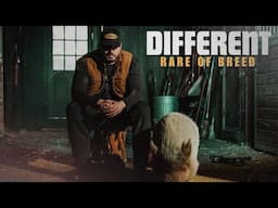 Rare of Breed - DIFFERENT (Music Video)