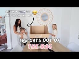 THE CATS OUT OF THE BAG HEHEHE! *AUSSIE MUM VLOGGER*