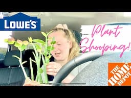 Plant Shopping at Lowes and Home Depot! Fun Finds!