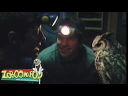 Night time | Zoboomafoo - WildBrain | Movies for Kids