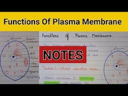 Functions of plasma membrane | Importance of plasma membrane