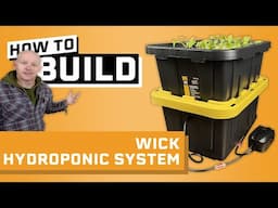 How to Build a Wick Hydroponic System