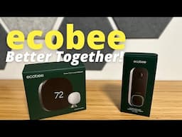 Ecobee Thermostat & Doorbell Review