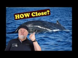 World's BEST and WORST Whale Watch Experiences!