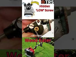 Is Your Weed Eater Running Rough? This Hidden Screw Might Be Why!