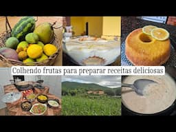 Colhendo frutas e preparando várias receitas deliciosas e fáceis | nosso pomar produtivo