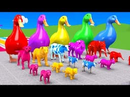 Choose the right Tiger Elephant Lion Gorilla Cartoon 3d Paint Animal Crossing Fountain Game new cow