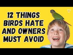 12 Things Birds Hate and Owners Must Avoid | Stop Doing This To Your Pet Birds 2023 | Pets and Us