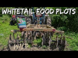 Whitetail Deer Hunting Food Plots for Early & Late Season