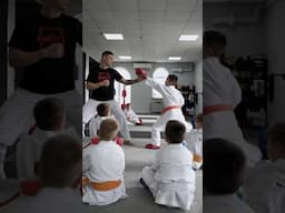 Karate Training in Action: Master and Student Perfecting Techniques