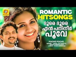 ദൂരെ ദൂരെ എന്‍ പനിനീര്‍ പൂവേ |  Album Song | Poove Poove | Faizal Kattayattu | Sindhu Premkumar