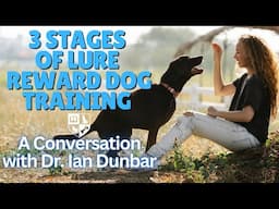 The 3 Stages of Lure Reward Dog Training - A Conversation with Dr. Ian Dunbar