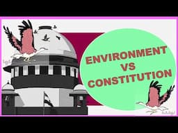 ENVIRONMENT VS CONSTITUTION