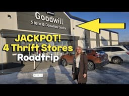 Goodwill Snow Storm! Thrift With Me at 4 Thrift Stores for Reselling & My Crazy Goodwill Haul