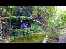 Build a shelter on a tree branch next to a stream in the middle of the wild forest