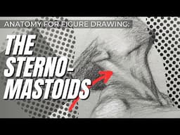 Anatomy for Figure Drawing: The Sterno-Mastoids