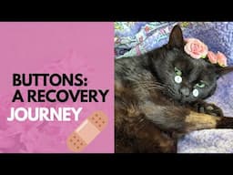 Buttons: Recovery Process