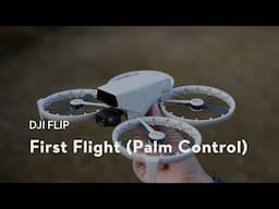 DJI Flip｜First Flight (Palm Control)