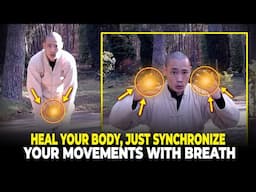 Heal Your Body by Synchronize Breath & Movement | Shi Heng Yi