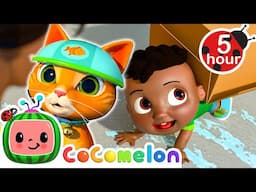 🤘This Box Rocks | CoComelon - Cody's Playtime | Songs for Kids & Nursery Rhymes