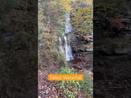 Ganoga Falls, nestled in Pennsylvania’s Ricketts Glen State Park, stands as the tallest waterfall