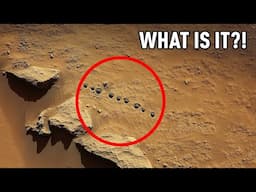 Search for Life on Mars – What Did We Find?