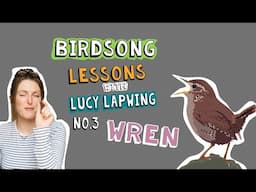 How to Identify Wren Song - Episode 3 of Birdsong Lessons with Lucy Lapwing!