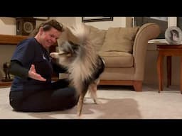 Learning Individual Paw Holds for Canine Conditioning