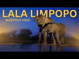 I spend 2 nights at the Lala Limpopo Sleepout Hide in Mashatu!