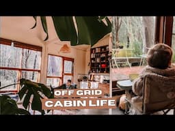 Cozy Off-Grid Cabin Escape | Reconnecting in Nature