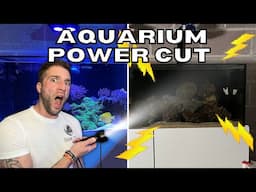 How To Keep Your Fish Alive Through A Power Cut And Power Outage - The ESSENTIAL 3!