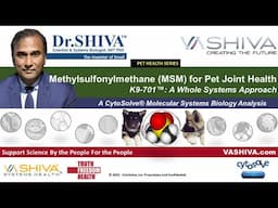 Dr.SHIVA™: MSM for Pet Health K9-701™: A Whole Systems Approach(2/24)