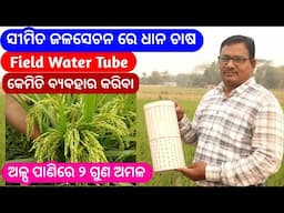 ଅଳ୍ପ ପାଣିରେ ଧାନ ଚାଷ Field Water Tube Plastic ପାଣି ମାପକ ଯନ୍ତ୍ର