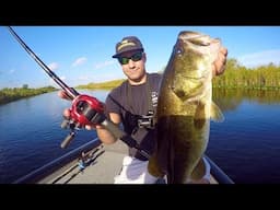 KASTKING Royal Legend Elite Baitcasting Reel (Review). Everglades Unboxing, Setup & Catching Fish!